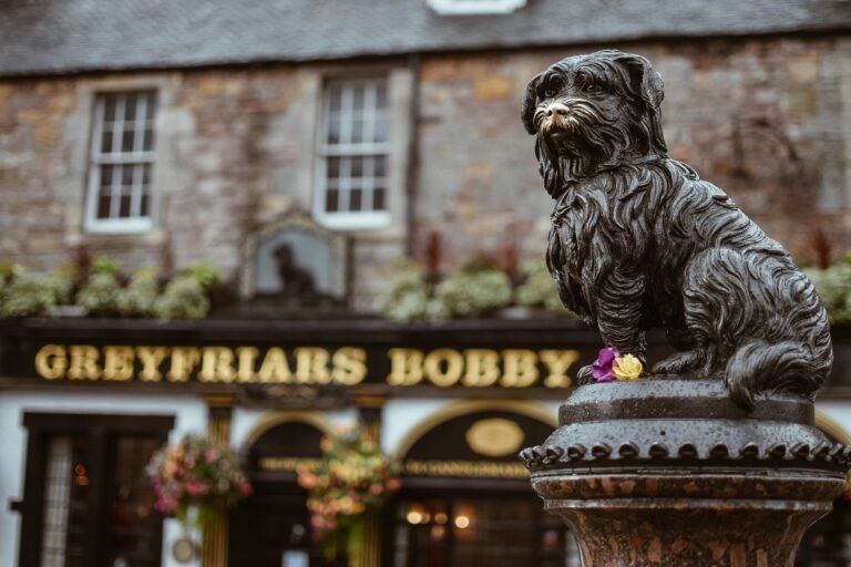 Edinburgh-e